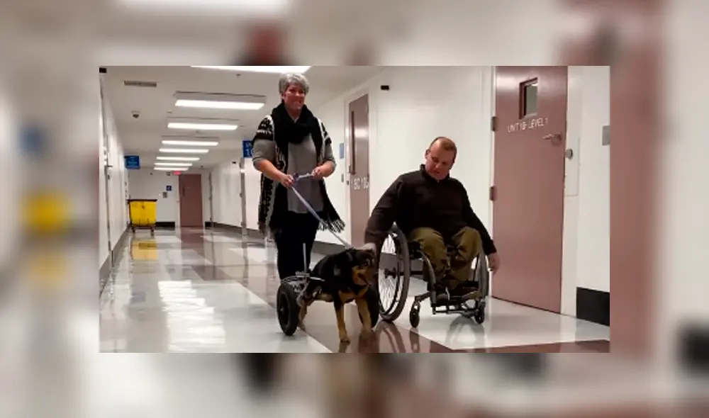 Desliza las imágenes para observar la emotiva acción del hombre al acoger a un indefenso perro que fue rechazado. Desliza las imágenes para observar la emotiva acción del hombre al acoger a un indefenso perro que fue rechazado.