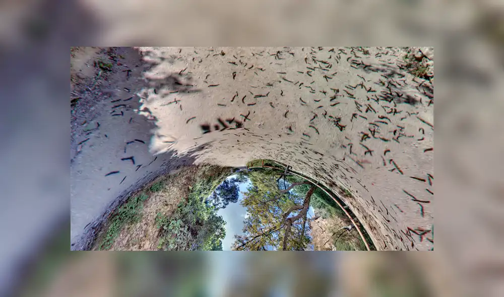 Google Maps revela misterioso 'portal' que te comunica a otro lugar al darle clic [FOTOS]