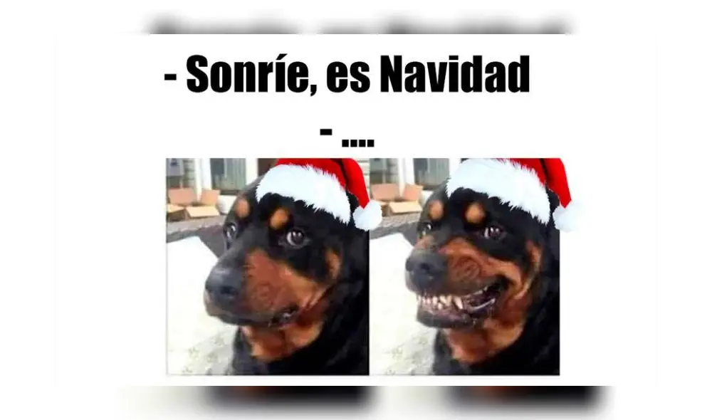 Mira y comparte los mejores memes de Navidad que se viralizaron en redes sociales [FOTOS]