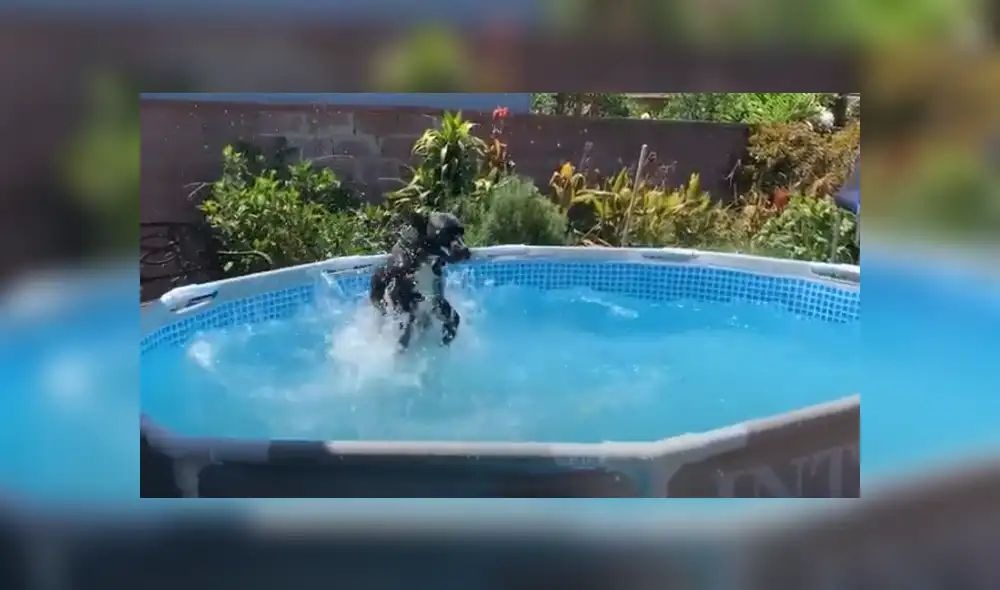 Desliza hacia la izquierda para ver las imágenes del viral de Facebook. Foto: Captura.