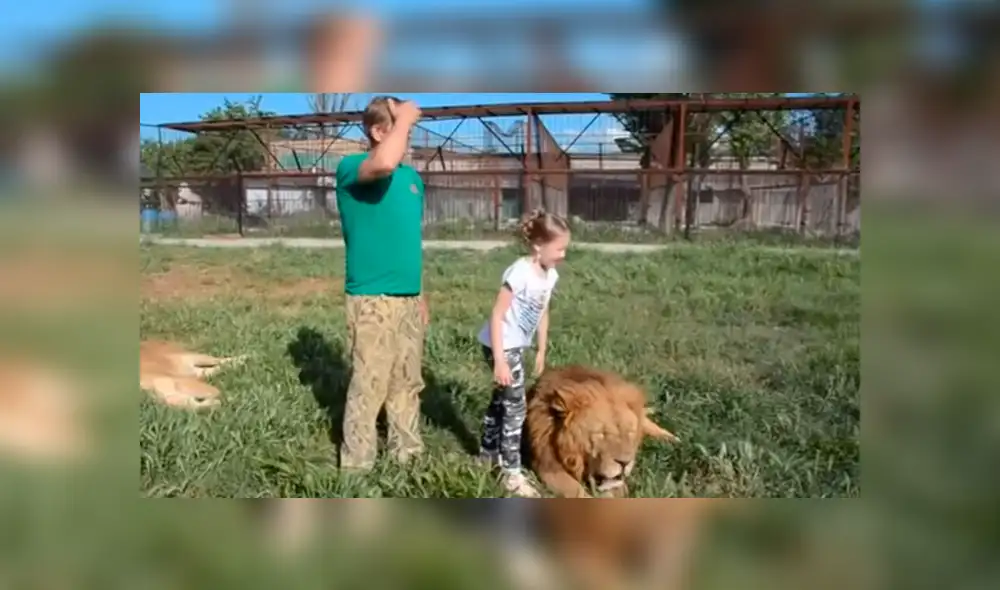 YouTube viral: Niña entra a calabozo de leones y la reacción de estos deja impactados a todos [VIDEO]