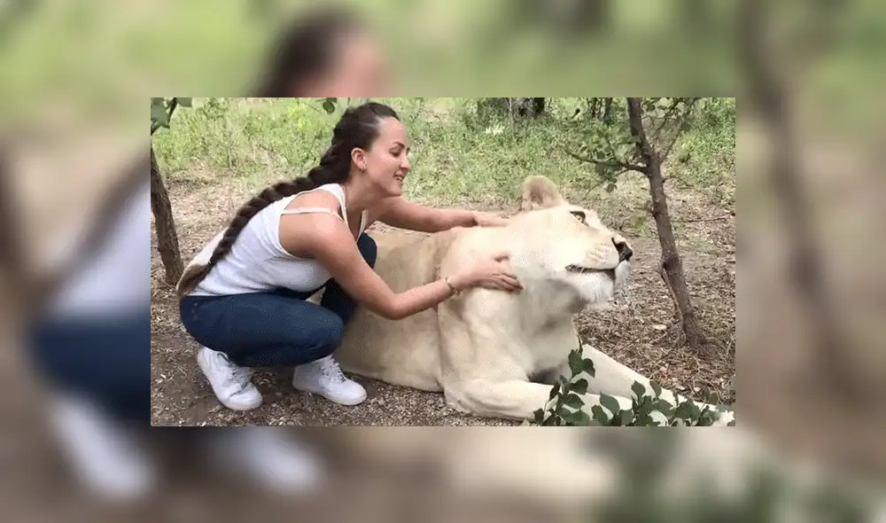 YouTube viral: Entra a calabozo de feroz depredador y este asombra a todos con una insólita reacción [VIDEO]