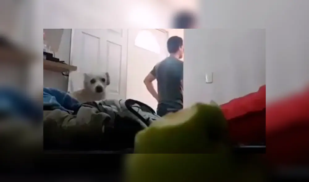 Desliza la imagen de TikTok para ver todas las fotos. Desliza la imagen de TikTok para ver todas las fotos.