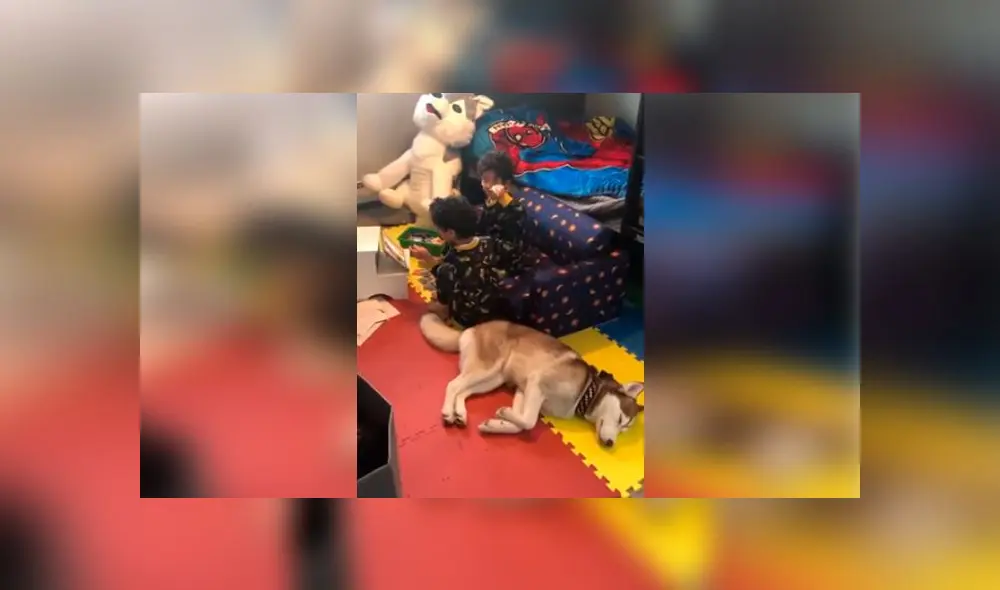 Desliza las imágenes para ver la emotiva escena que protagonizaron los hijos y la mascota de una joven mujer. Foto: RM Videos Desliza las imágenes para ver la emotiva escena que protagonizaron los hijos y la mascota de una joven mujer. Foto: RM Videos