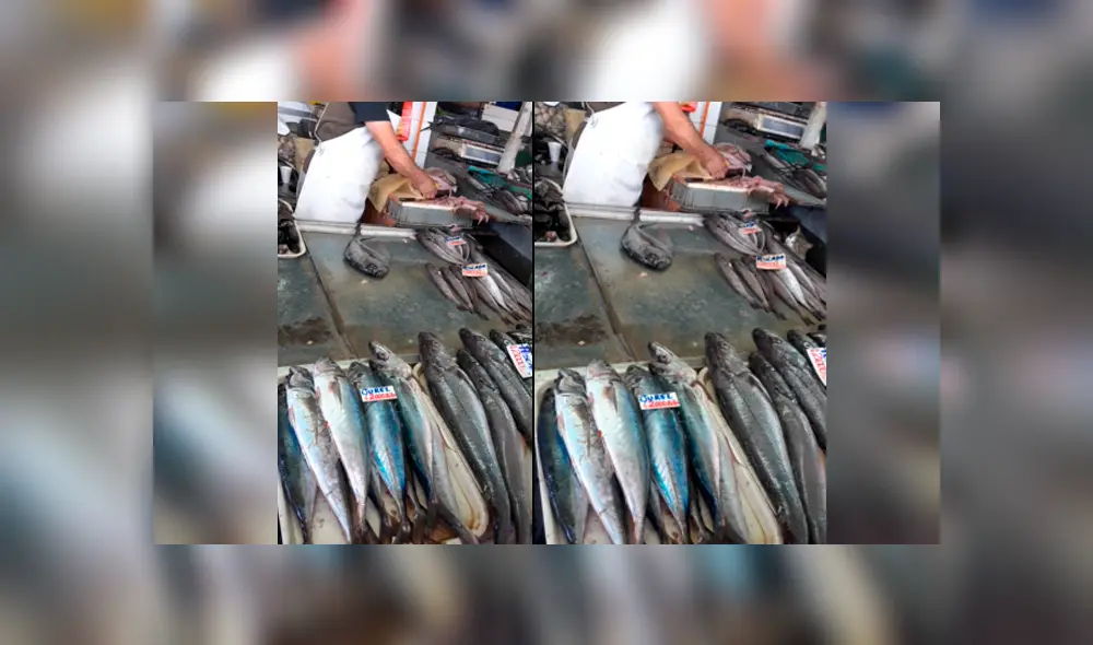 Desliza las imágenes para ver cómo el pequeño gato bebé robó un poco de pescado a un vendedor de México. Foto: Captura/facebook Desliza las imágenes para ver cómo el pequeño gato bebé robó un poco de pescado a un vendedor de México. Foto: Captura/facebook