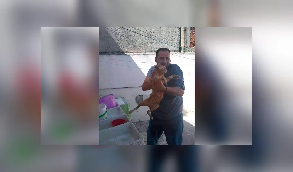 Desliza para ver el desenlace de esta historia de Facebook. Foto: Captura. Desliza para ver el desenlace de esta historia de Facebook. Foto: Captura.