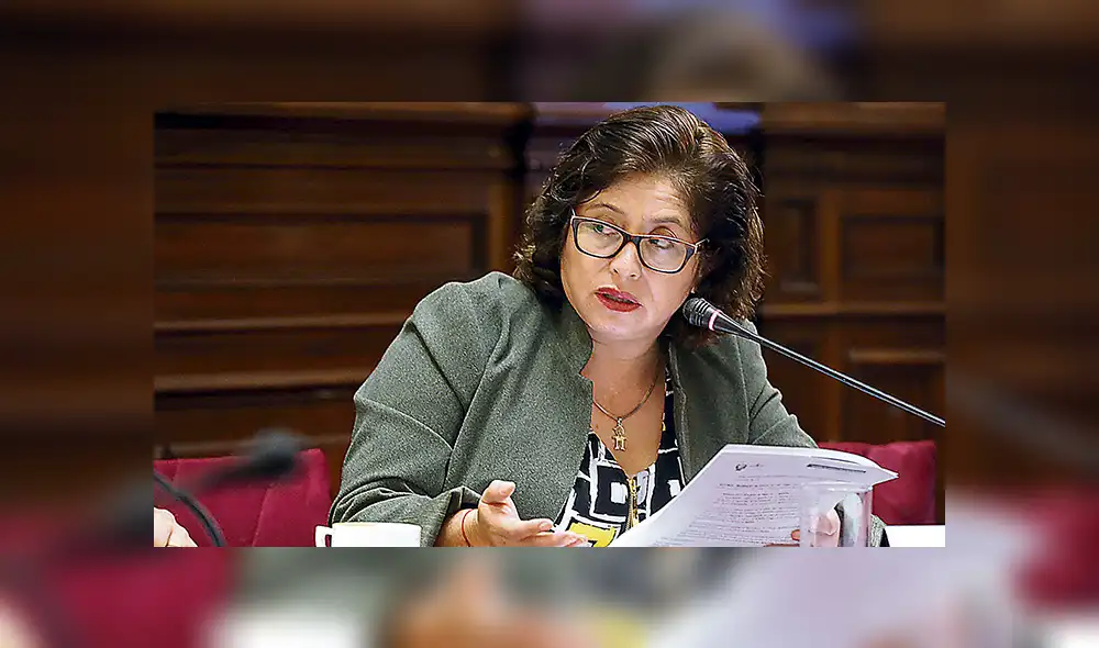 Ella es. La autora del proyecto, Sonia Echevarría, señala que busca evitar errores en libros.