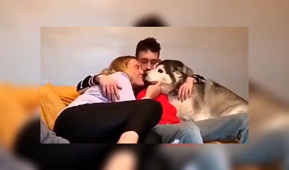 Facebook viral: perro celoso tiene increíble al ver a chico abrazar a su dueña sorprende a usuarios [VIDEO] 