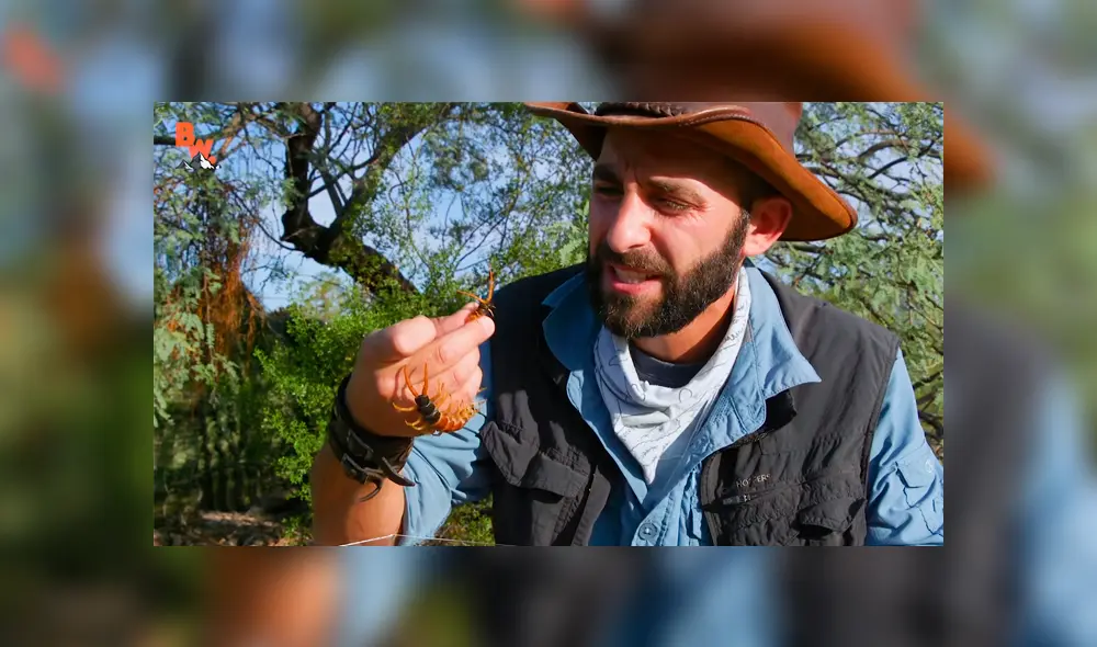 Un video muestra al popular 'Coyote' Peterson siendo brutalmente mordido por un enorme ciempiés. Un video muestra al popular 'Coyote' Peterson siendo brutalmente mordido por un enorme ciempiés.