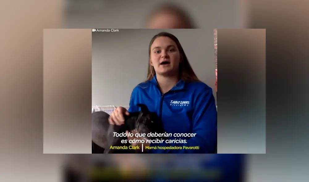 Desliza hacia la izquierda para ver el nuevo aspecto del perro callejero abandonado con sarna. Desliza hacia la izquierda para ver el nuevo aspecto del perro callejero abandonado con sarna.