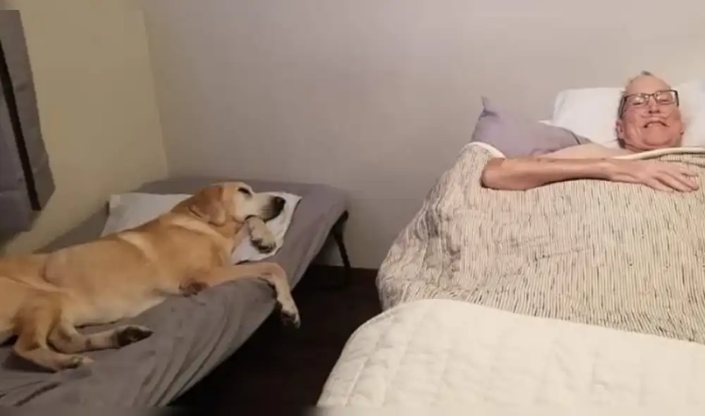 Daniel Hove y Gunner mantuvieron un fuerte vínculo desde que el veterano fue diagnosticado con cáncer hasta el deceso de ambos. (Foto: Facebook)