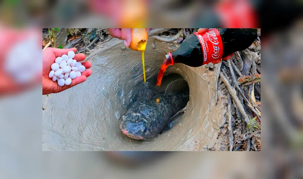 Desliza hacia la izquierda para ver el experimento que se volvió viral en Facebook.