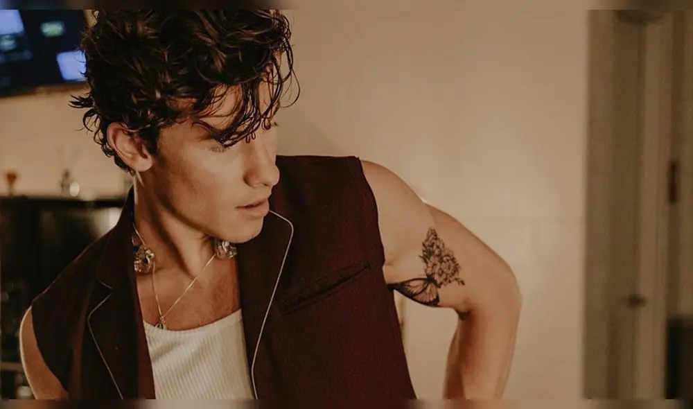 Shawn Mendes quiso acercarse a fans y termina en el suelo 