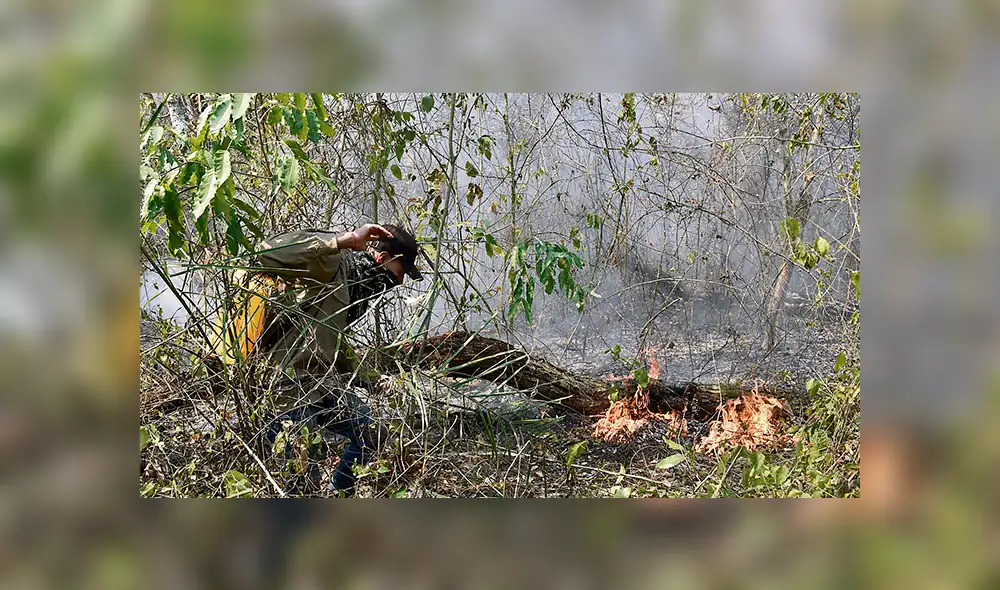 Impacto. Fuego continúa avanzando en Amazonía de Brasil. Impacto. Fuego continúa avanzando en Amazonía de Brasil.