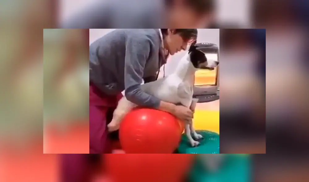 Desliza para ver los detalles de este conmovedor video viral de Facebook. Foto: Captura. Desliza para ver los detalles de este conmovedor video viral de Facebook. Foto: Captura.