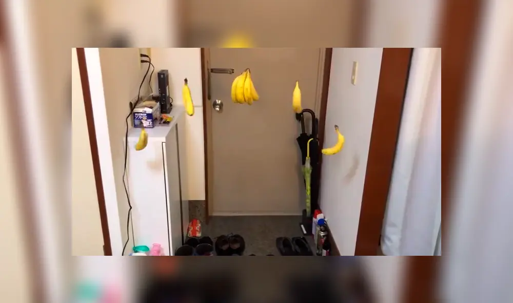 Desliza para ver las imágenes más curiosas del video viral de Facebook.