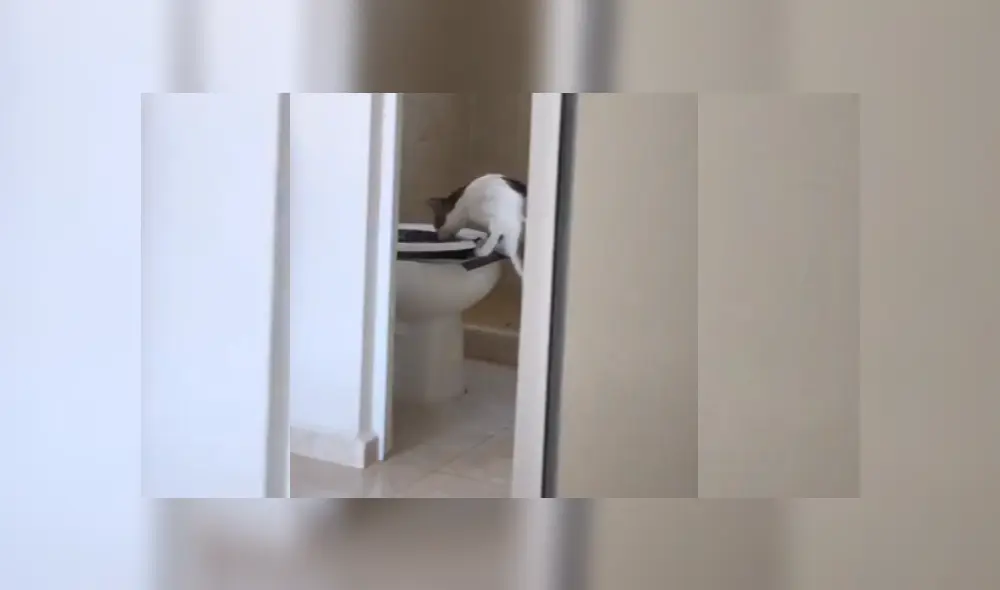 Desliza hacia la izquierda para ver más del video viral. Desliza hacia la izquierda para ver más del video viral.