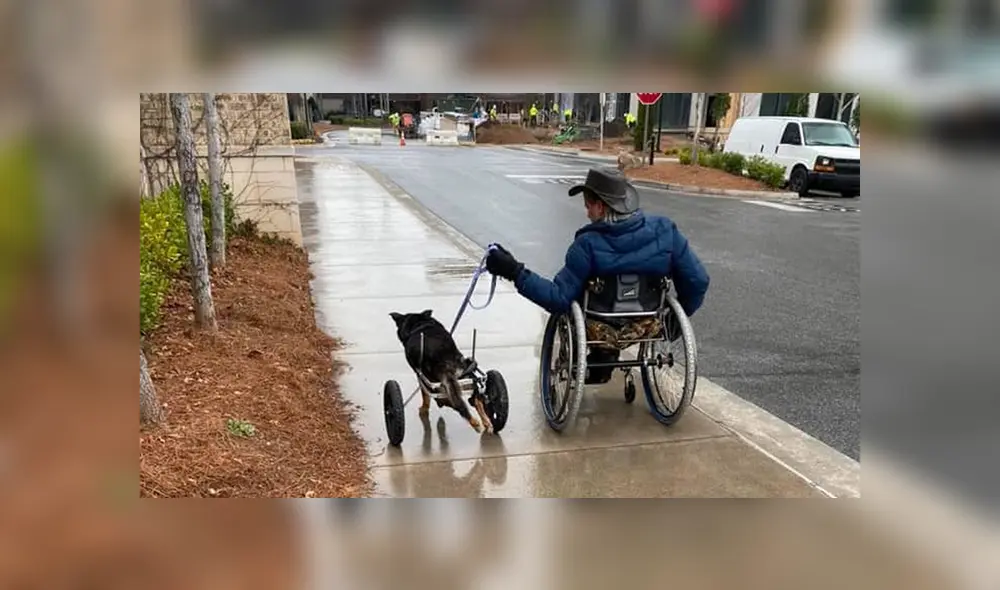Desliza las imágenes para observar la emotiva acción del hombre al acoger a un indefenso perro que fue rechazado. Desliza las imágenes para observar la emotiva acción del hombre al acoger a un indefenso perro que fue rechazado.