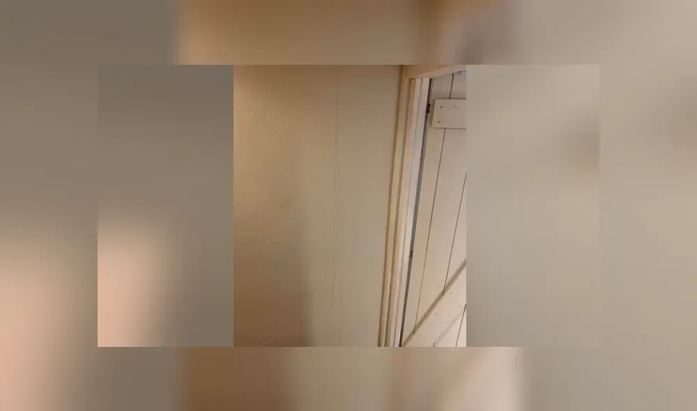 Una familia se enteró que estaban viviendo junto a una enorme cantidad de abejas por un largo tiempo. Foto: Facebook. Una familia se enteró que estaban viviendo junto a una enorme cantidad de abejas por un largo tiempo. Foto: Facebook.