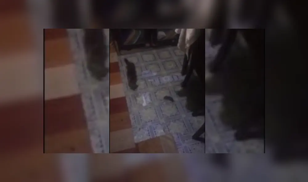 Desliza hacia la izquierda para ver más del video viral Desliza hacia la izquierda para ver más del video viral