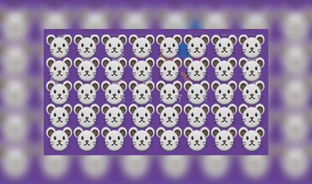 Desliza las imágenes para ver la ubicación exacta del travieso koala oculto entre ratones. Foto: Facebook Desliza las imágenes para ver la ubicación exacta del travieso koala oculto entre ratones. Foto: Facebook