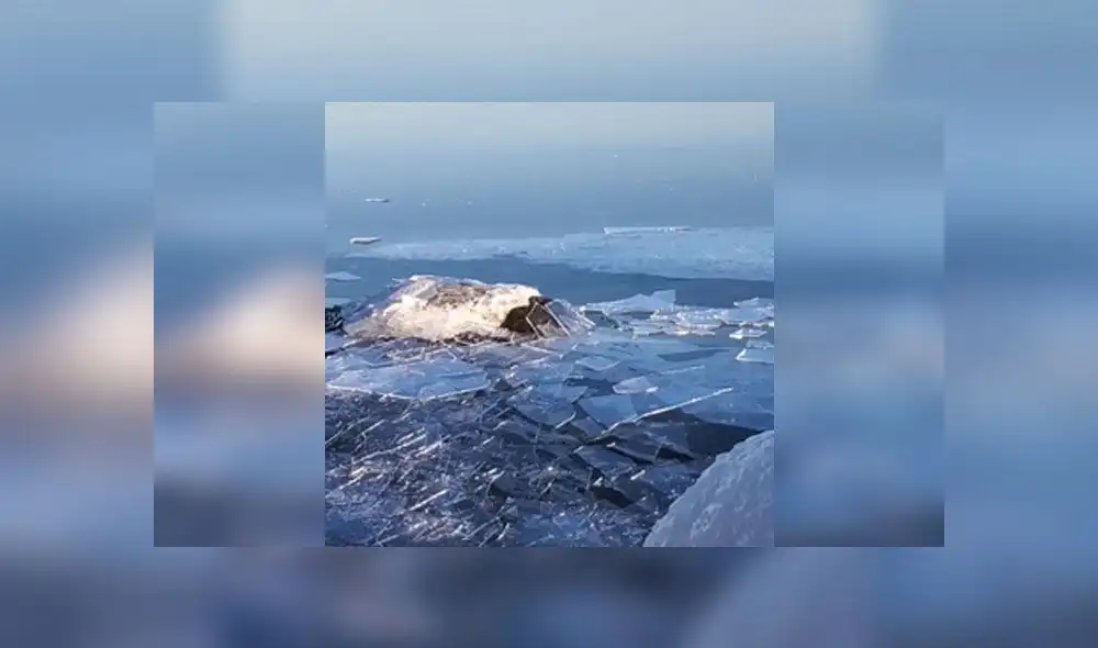 Desliza para descubrir lo que pasa cuando un lago congelado empieza a calentarse. Foto: Captura. Desliza para descubrir lo que pasa cuando un lago congelado empieza a calentarse. Foto: Captura.