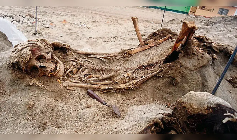 Huanchaco fue escenario del mayor ritual de sacrificios humanos Huanchaco fue escenario del mayor ritual de sacrificios humanos