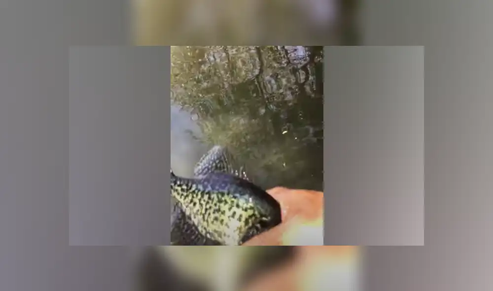 Desliza hacia la izquierda para ver las imágenes del viral de Facebook. Foto: Captura. Desliza hacia la izquierda para ver las imágenes del viral de Facebook. Foto: Captura.