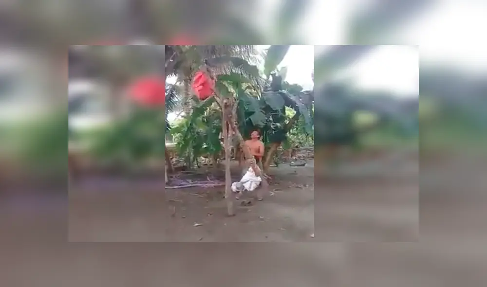 En Facebook, un padre recolectó varios materiales para crear un columpio en medio de un desolado campo.