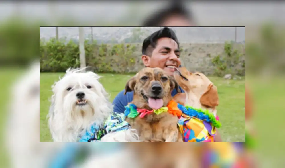 Rescatistas organizan la primera “Navidad Peluda” para recaudar fondos a favor de animales 