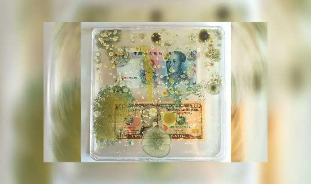 Estudio demuestra que cada billete tiene más de 3000 bacterias de la boca y los genitales