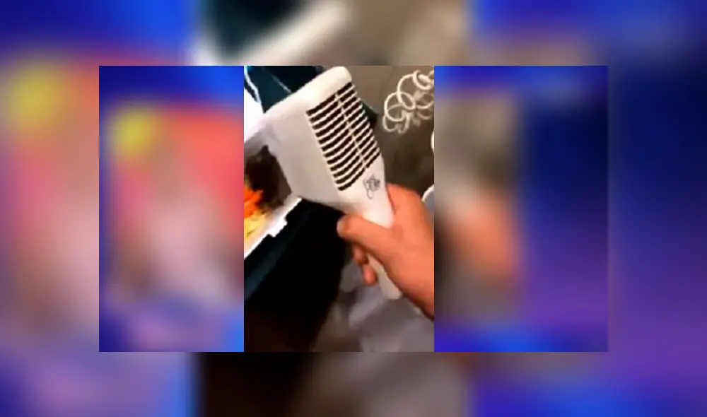 Desliza para conocer los detalles de este video que se viralizó en Facebook. Foto: Captura. Desliza para conocer los detalles de este video que se viralizó en Facebook. Foto: Captura.