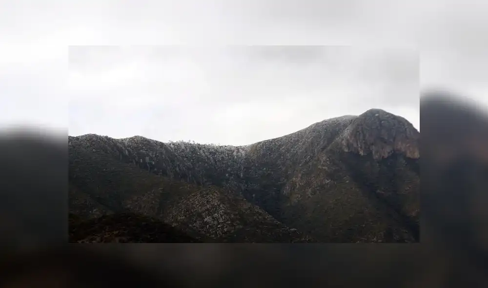 Cae nieve en Saltillo por Frente Frío 41