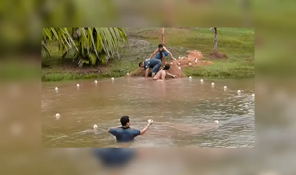 YouTube viral: Entran a pescar y quedan en shock al ver extrañas criaturas en su red [VIDEO]