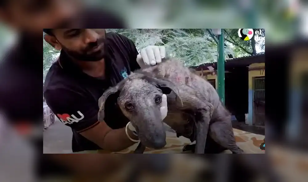 Desliza hacia la izquierda para ver las imágenes del viral de Facebook. Foto: Captura. Desliza hacia la izquierda para ver las imágenes del viral de Facebook. Foto: Captura.