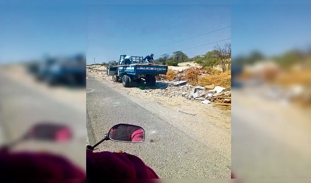 Cochinos serán multados. Cochinos serán multados.