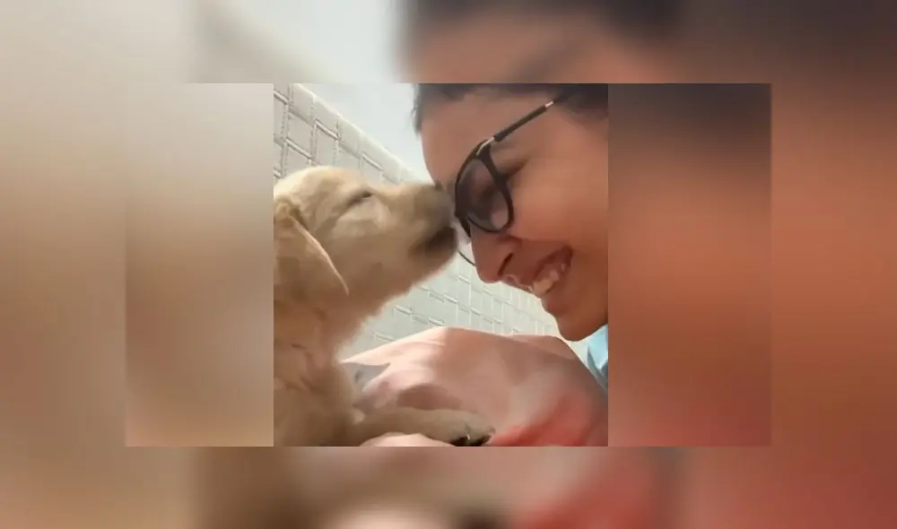 Desliza las imágenes para ver la tierna escena que protagonizó un perro bebé con su dueña. Foto: Caters Clips/Captura Desliza las imágenes para ver la tierna escena que protagonizó un perro bebé con su dueña. Foto: Caters Clips/Captura
