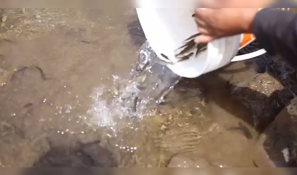 Actividad podría generar más de 10 mil empleos directos e indirectos. Actividad podría generar más de 10 mil empleos directos e indirectos.