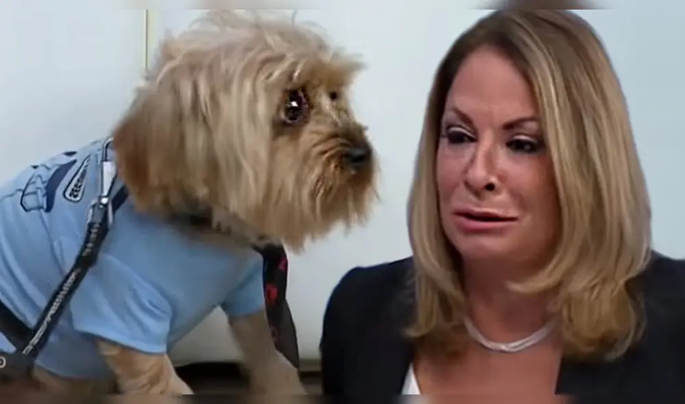 Ana María Polo rompe en llanto antes de tomar una difícil decisión en “Caso Cerrado”