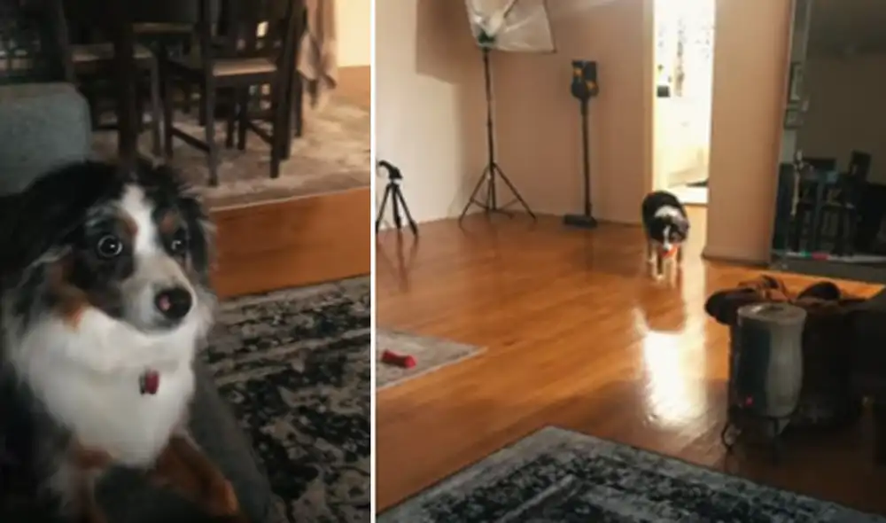 Desliza hacia la izquierda para ver las imágenes del video viral. Foto: Captura de YouTube.