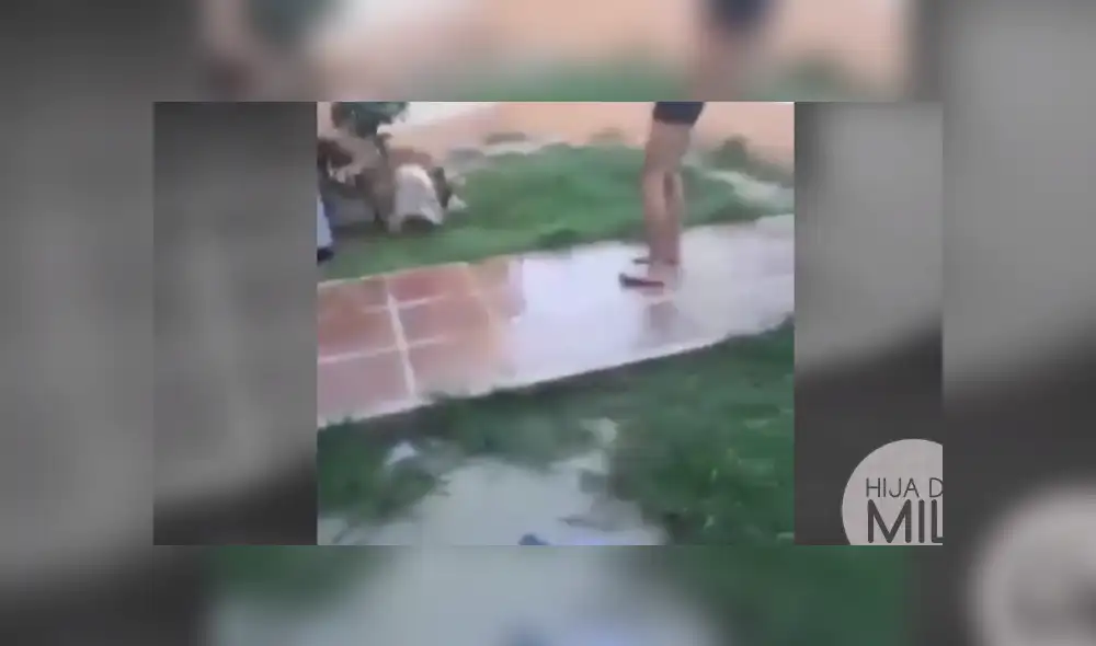 Facebook viral: niñas querían incursionar como 'youtubers' y dos perros arruinan su primer video