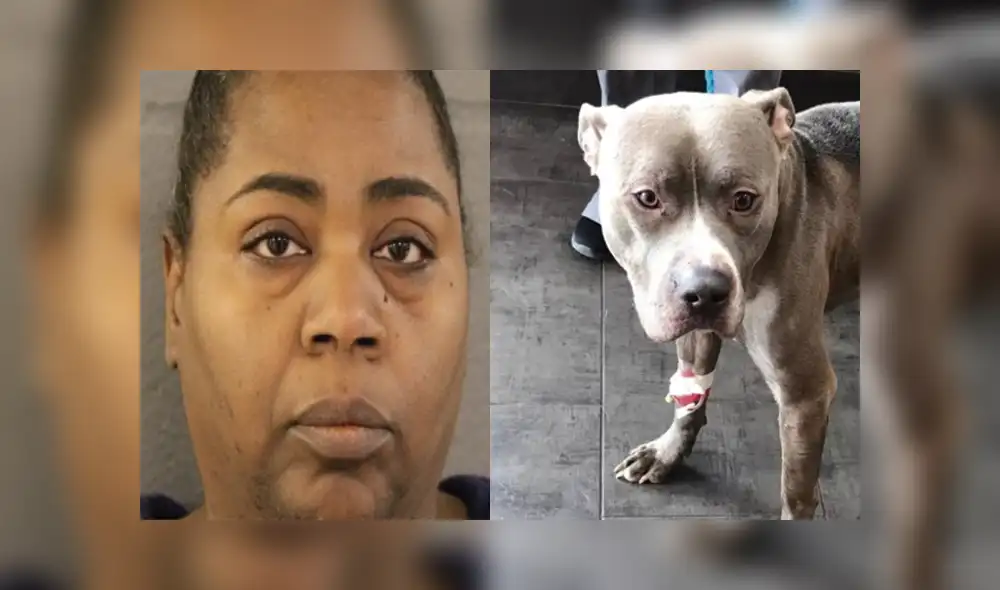 La agresora aún continúa en libertad. Foto: Radio Mitre La agresora aún continúa en libertad. Foto: Radio Mitre