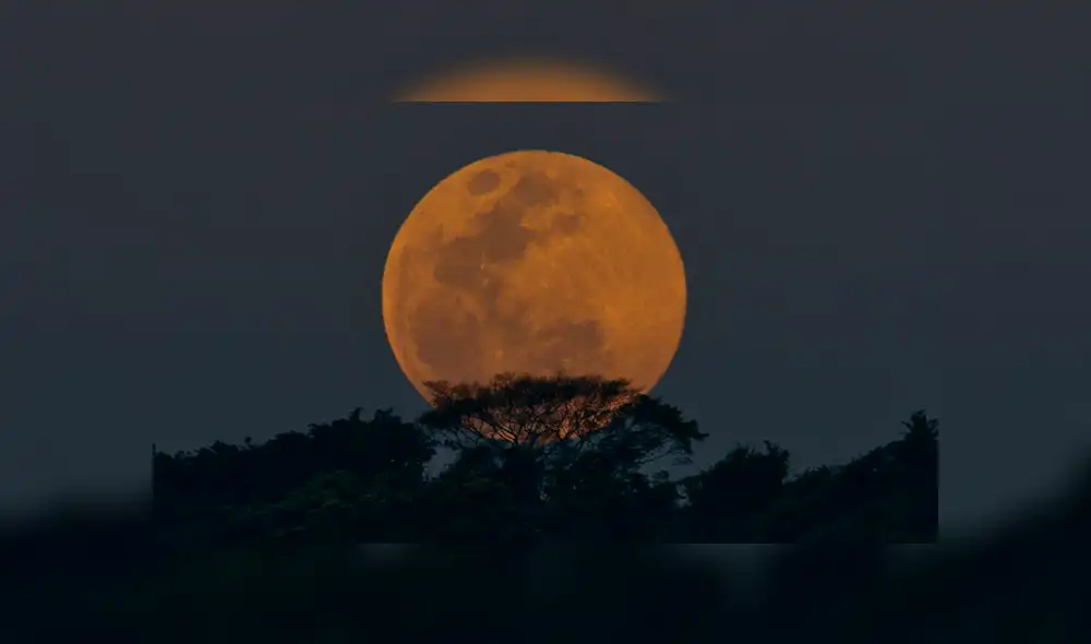  Superluna y eclipse total 2019 EN VIVO: Horarios de la Luna Sangre de Lobo en México y en Perú