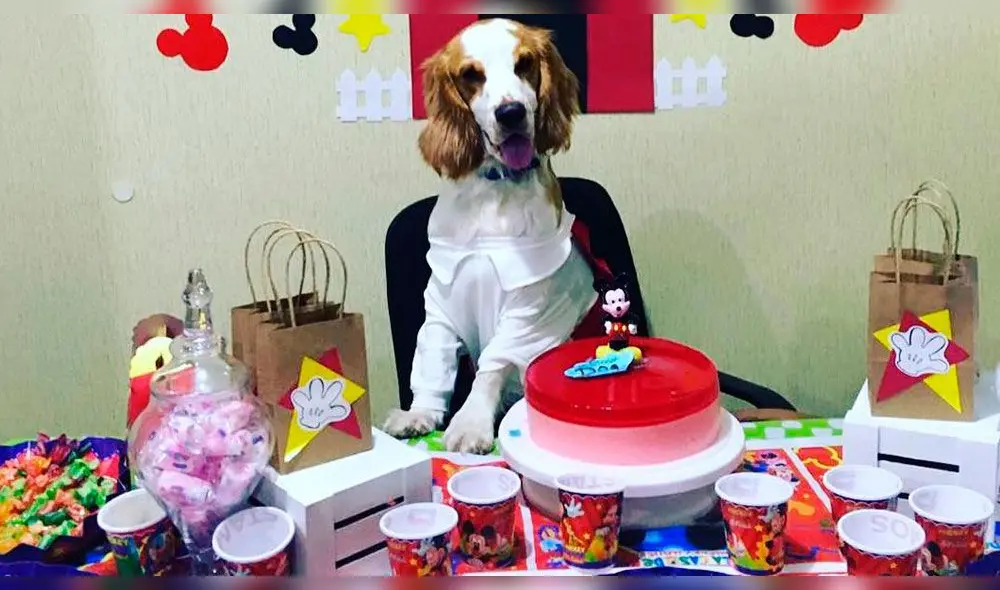 Dog llegó a la vida de Yasmin Lopez, luego de haber perdido a su anterior mascota por una enfermedad. Foto: Instagram Dog llegó a la vida de Yasmin Lopez, luego de haber perdido a su anterior mascota por una enfermedad. Foto: Instagram