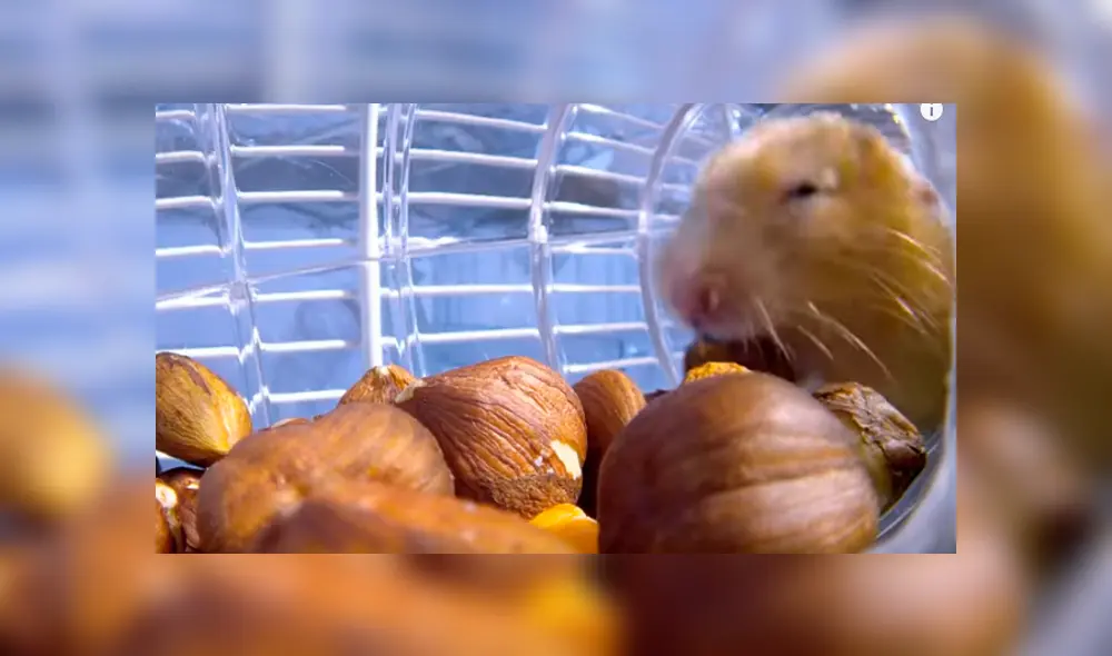 Desliza hacia la izquierda para ver las imágenes del video viral de Facebook.