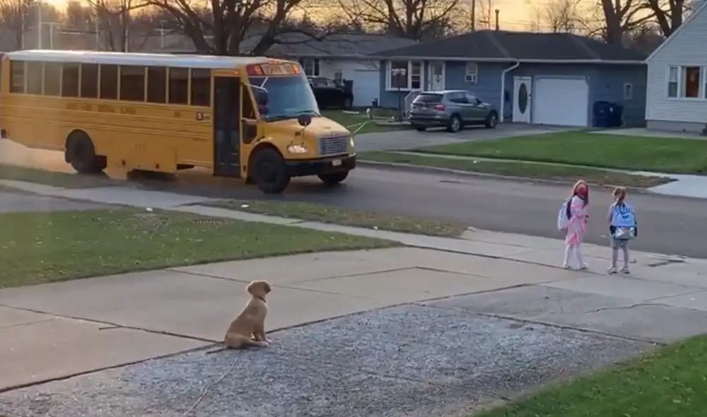 Desliza hacia la izquierda para ver más imágenes sobre esta conmovedora escena que es viral en redes sociales. Foto: captura de Facebook Desliza hacia la izquierda para ver más imágenes sobre esta conmovedora escena que es viral en redes sociales. Foto: captura de Facebook