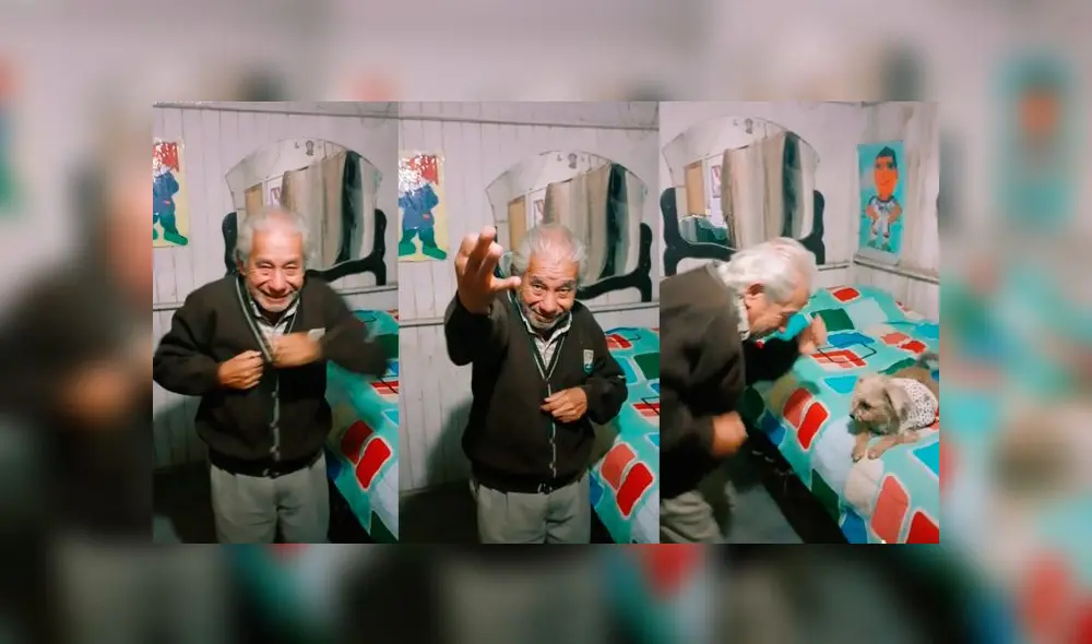 Desliza las imágenes para ver la divertida coreografía que hizo un anciano junto a su querida mascota. Foto: elabuemax/TikTok Desliza las imágenes para ver la divertida coreografía que hizo un anciano junto a su querida mascota. Foto: elabuemax/TikTok