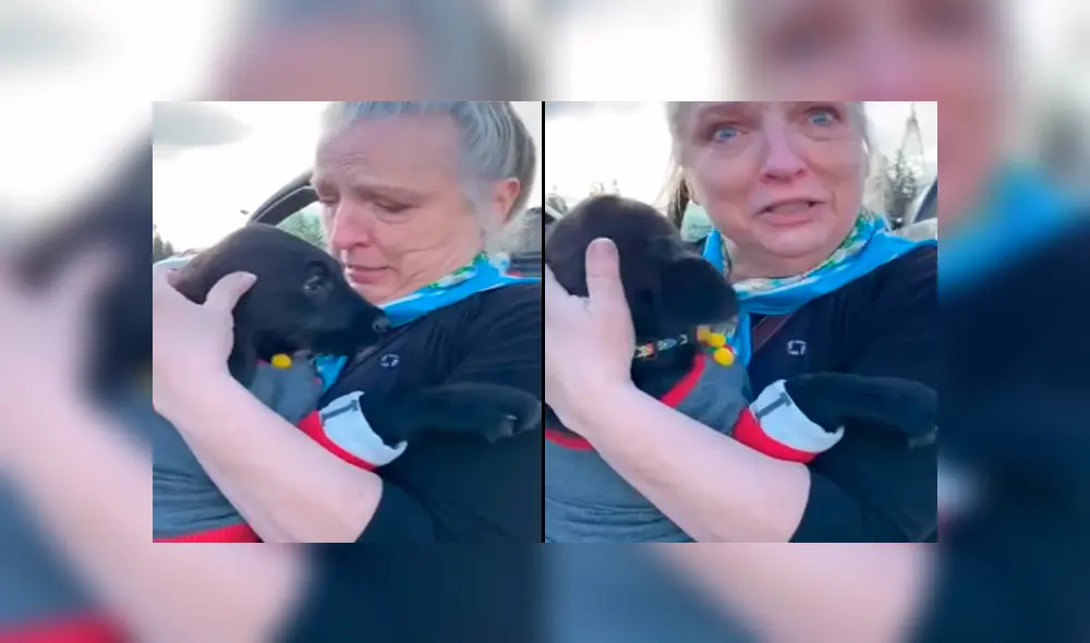 Desliza para ver los momentos más tiernos del video que se hizo viral en YouTube.