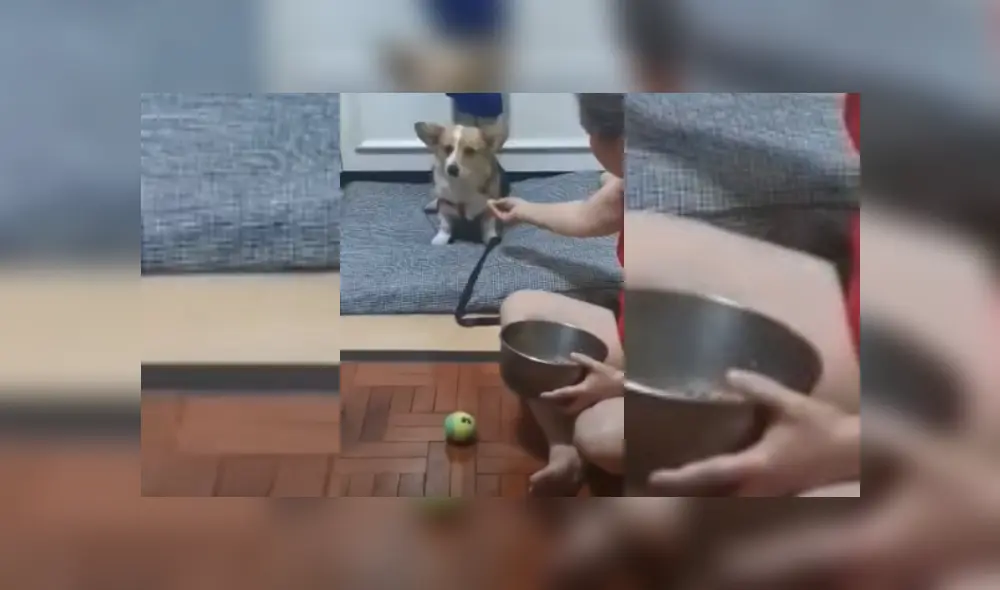 Desliza hacia la izquierda para ver más del video viral. Fotocaptura: YouTube Desliza hacia la izquierda para ver más del video viral. Fotocaptura: YouTube