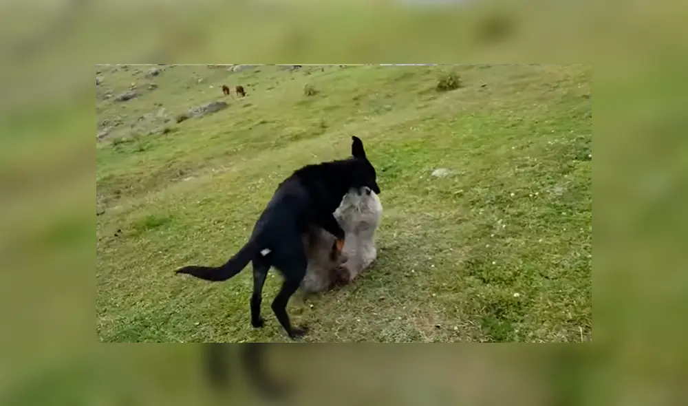 Desliza para ver los momentos más emotivos del video que se hizo viral en YouTube. Desliza para ver los momentos más emotivos del video que se hizo viral en YouTube.